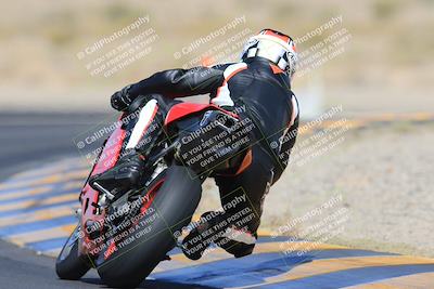 media/May-13-2023-SoCal Trackdays (Sat) [[8a473a8fd1]]/Turn 11 Backside (945am)/